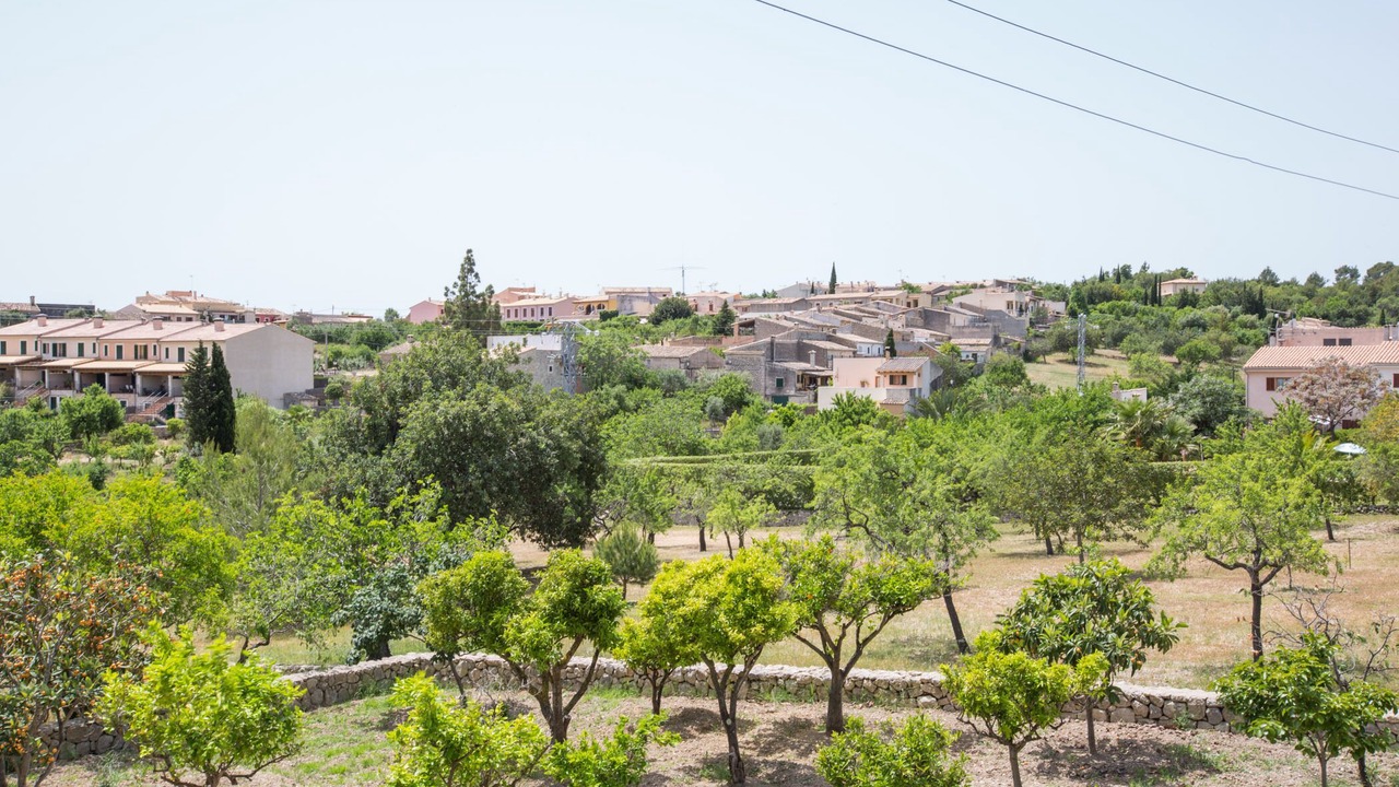 Photo of Outdoor in Moscari