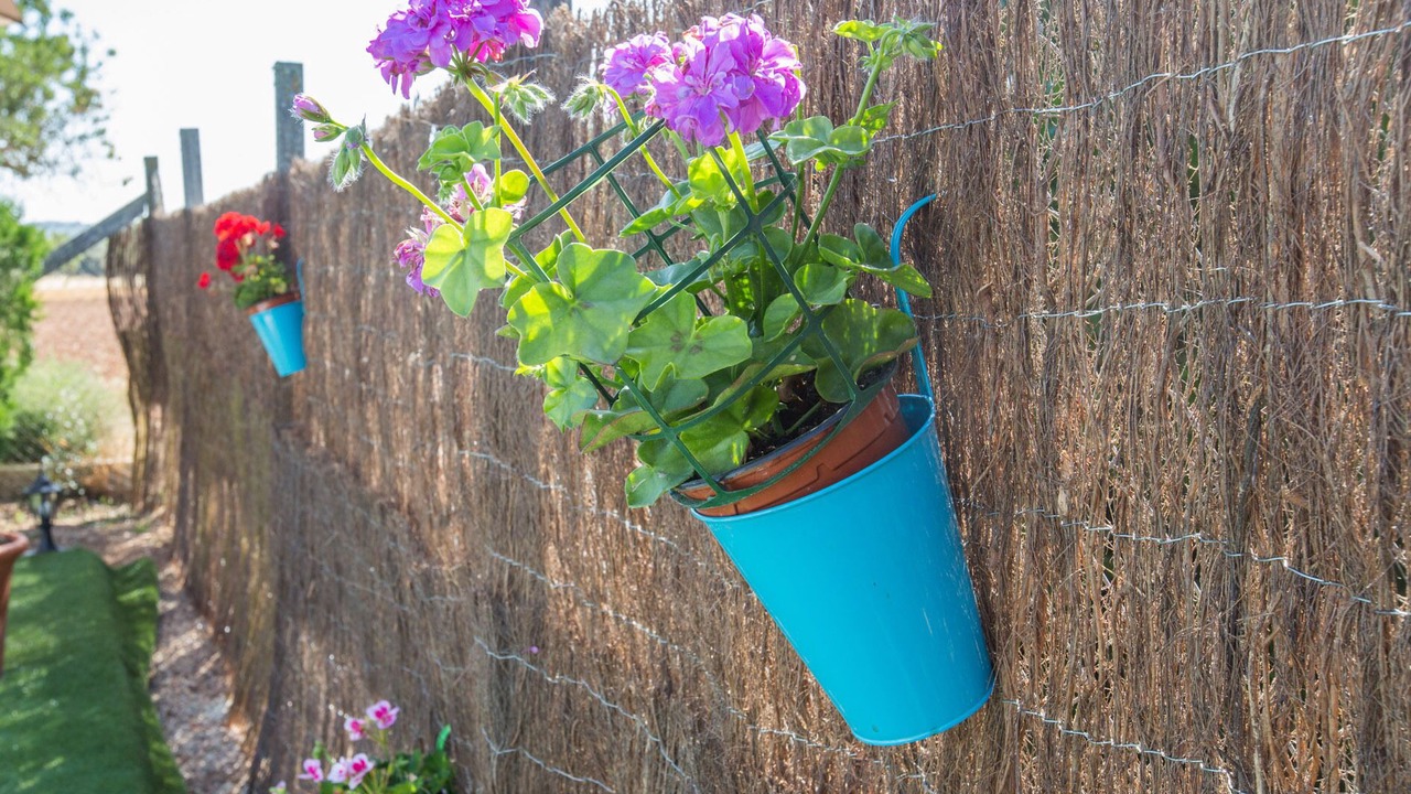 Photo of Outdoor in Algaida