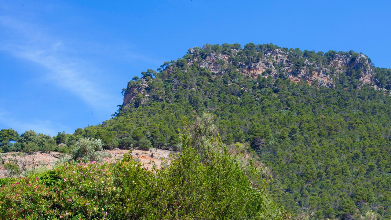 Photo of Outdoor in Valldemossa