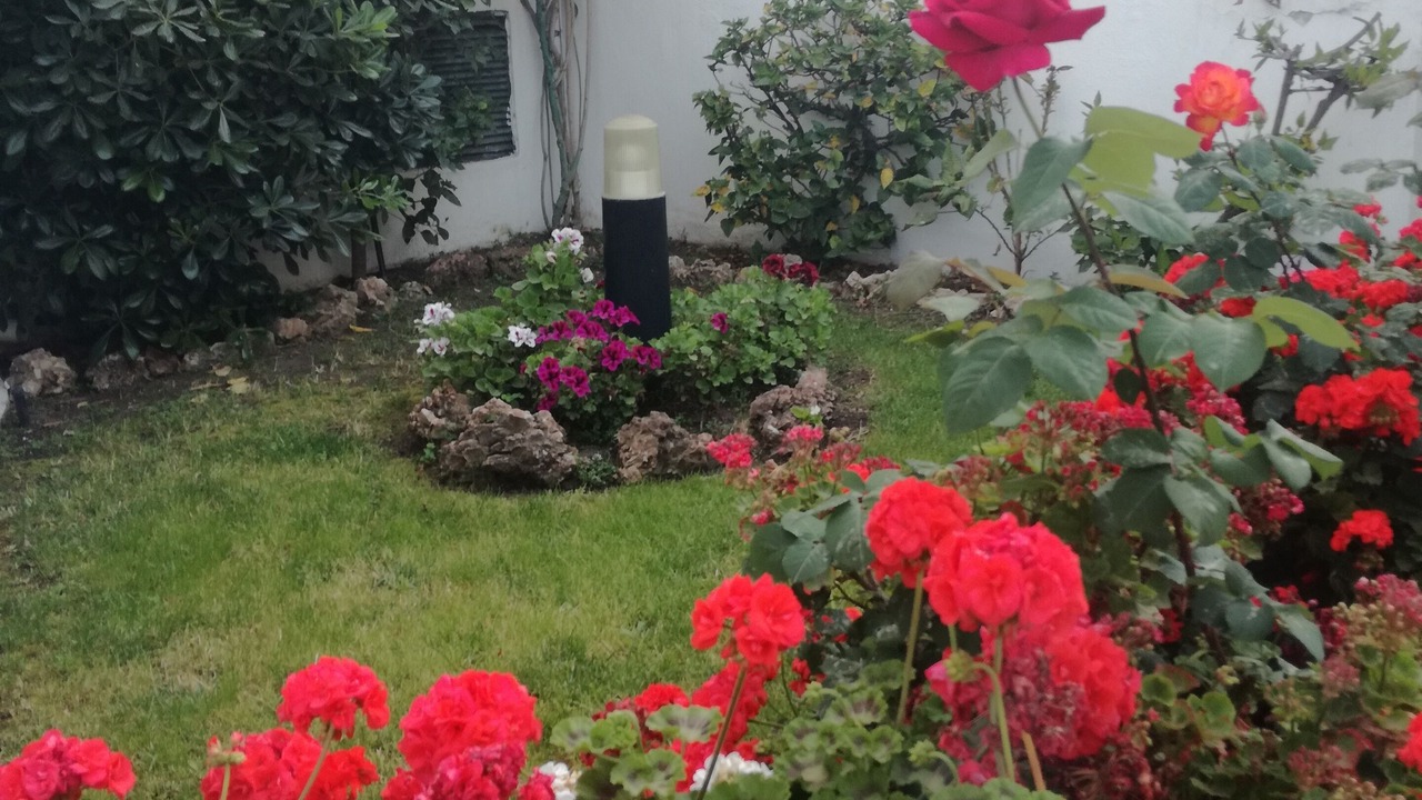 Photo of Outdoor in Carihuela