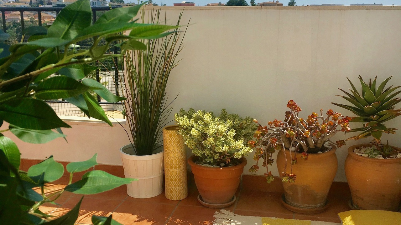 Photo of Outdoor in Torrequebrada