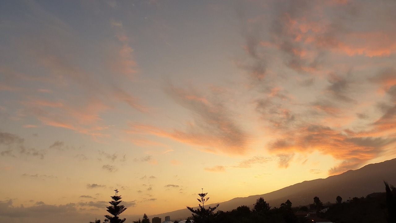 Photo of Others in Puerto de la Cruz