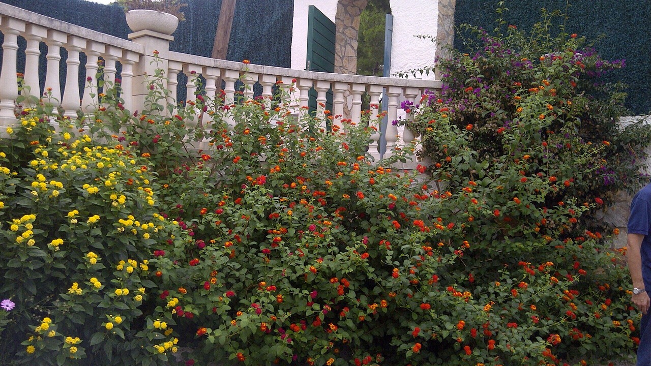 Photo of Outdoor in Pals