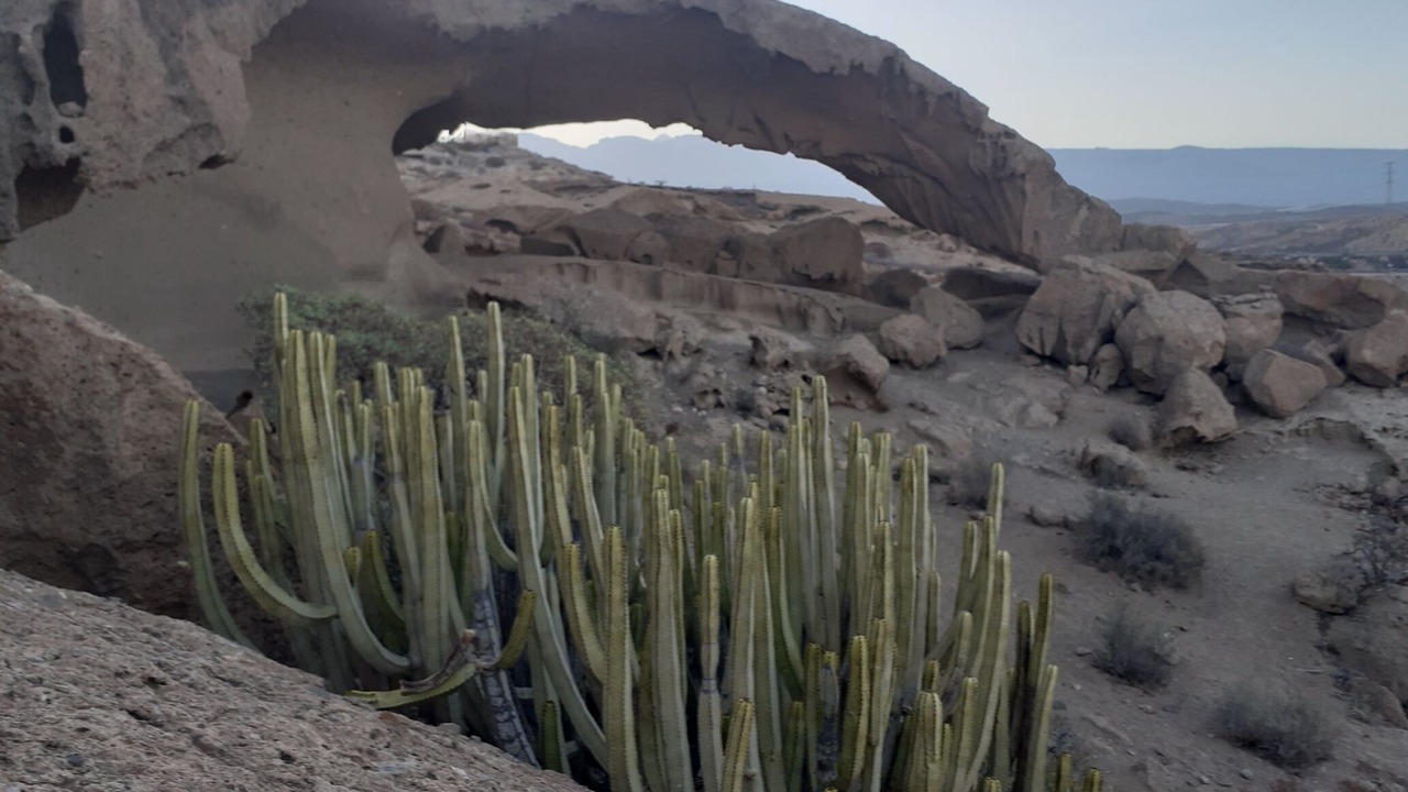 Photo of Outdoor in Arico