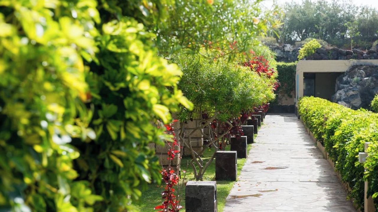 Photo of Outdoor in San Miguel de Abona
