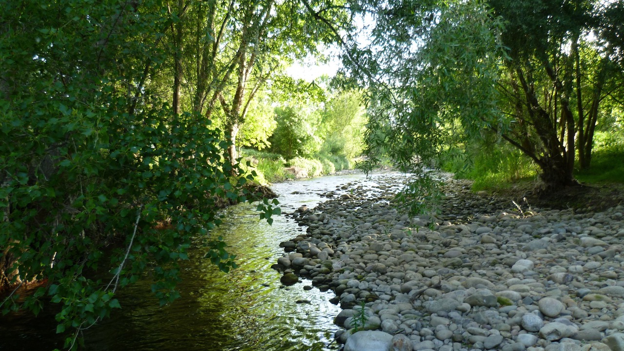 Photo of Outdoor in Logrono Historic Centre