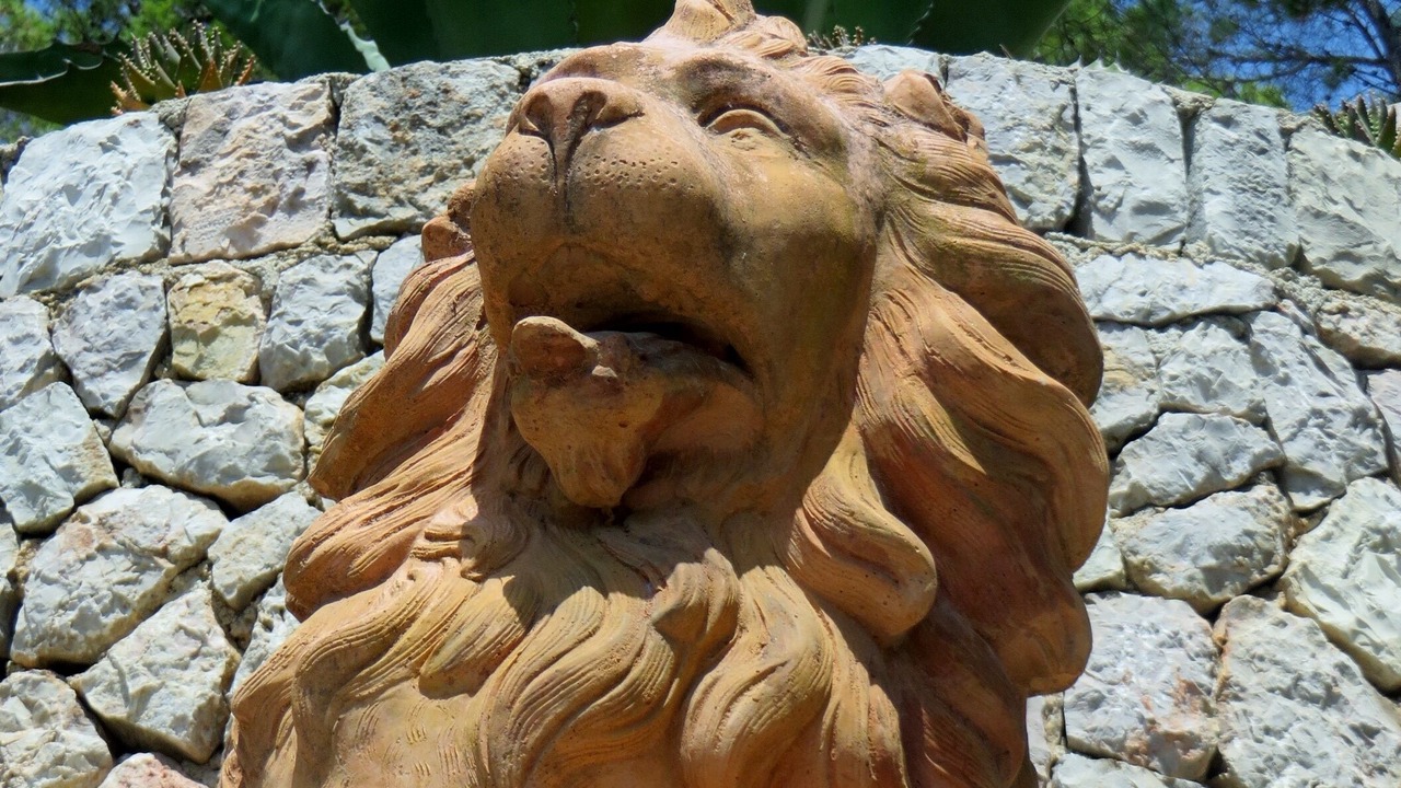Photo of Outdoor in Son Vida