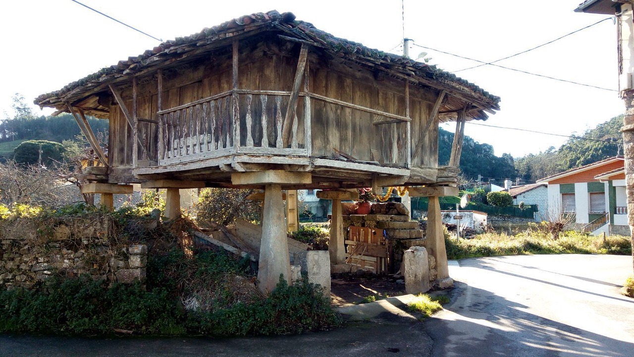 Photo of Outdoor in Vega