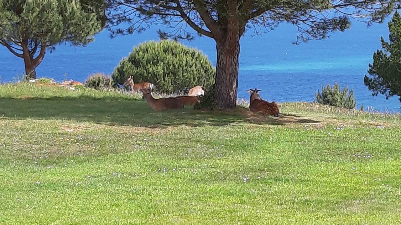Photo of Outdoor in Vega