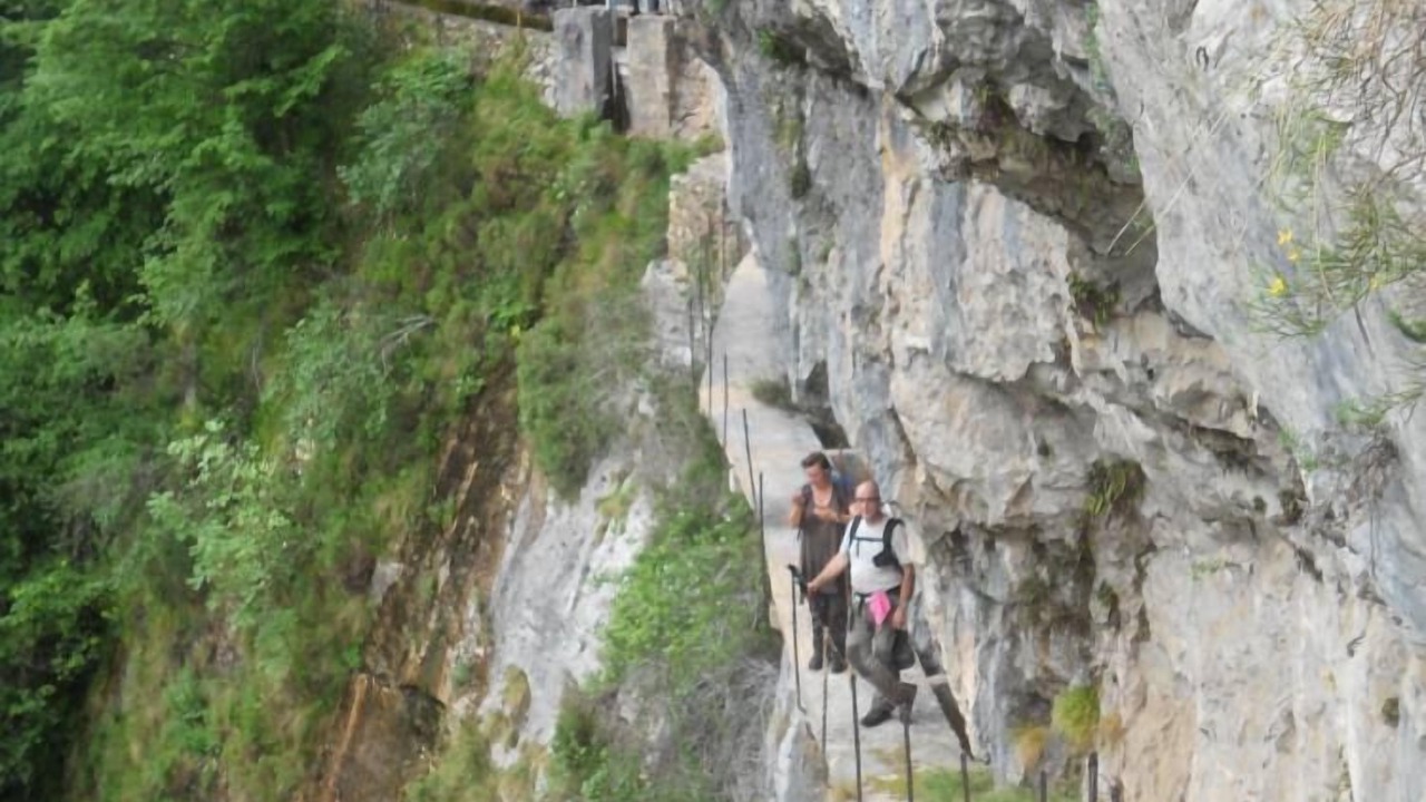 Photo of Others in Buelles