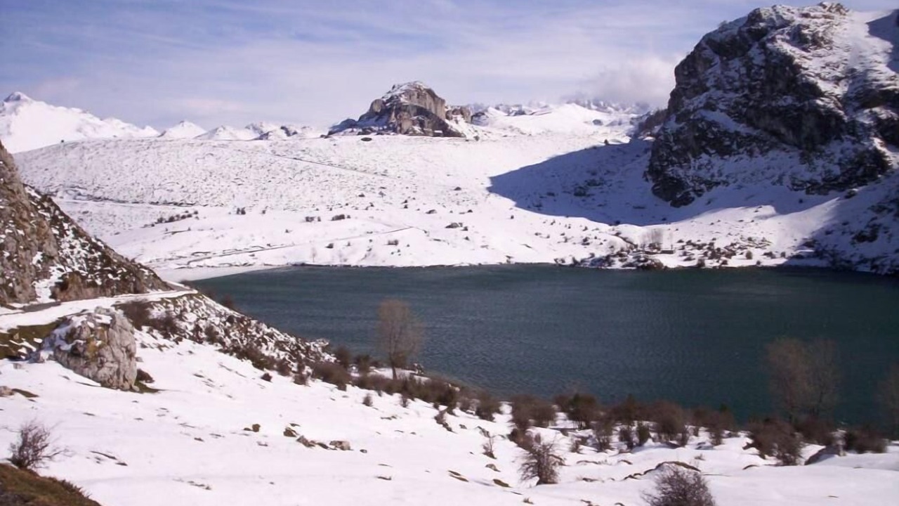 Photo of Others in Buelles