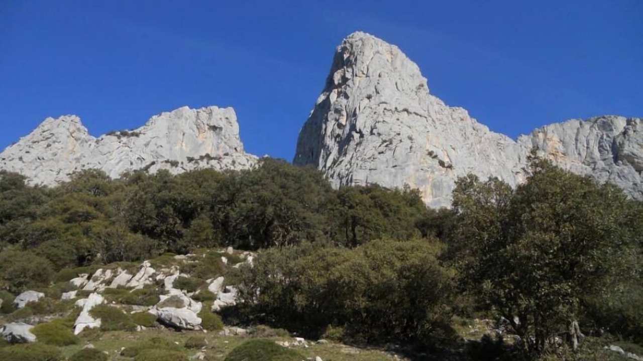 Photo of Others in Buelles