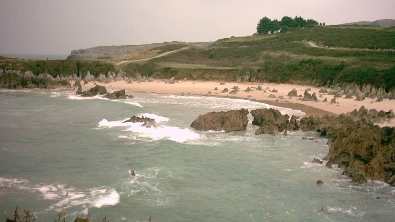 Photo of Others in Buelles