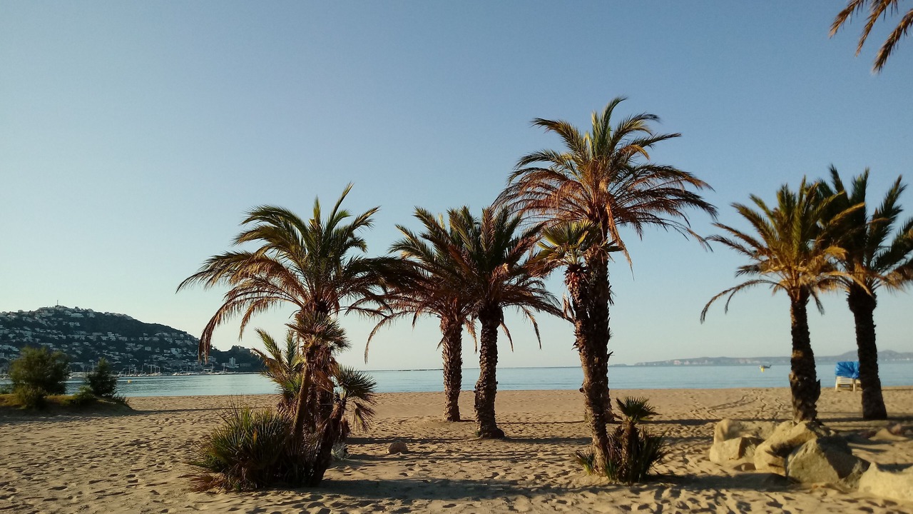 Photo of Others in Santa Margarida