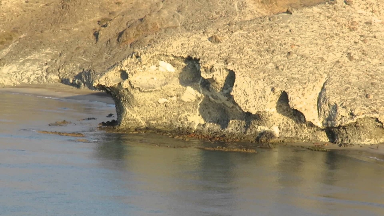 Photo of Others in Roquetas de Mar
