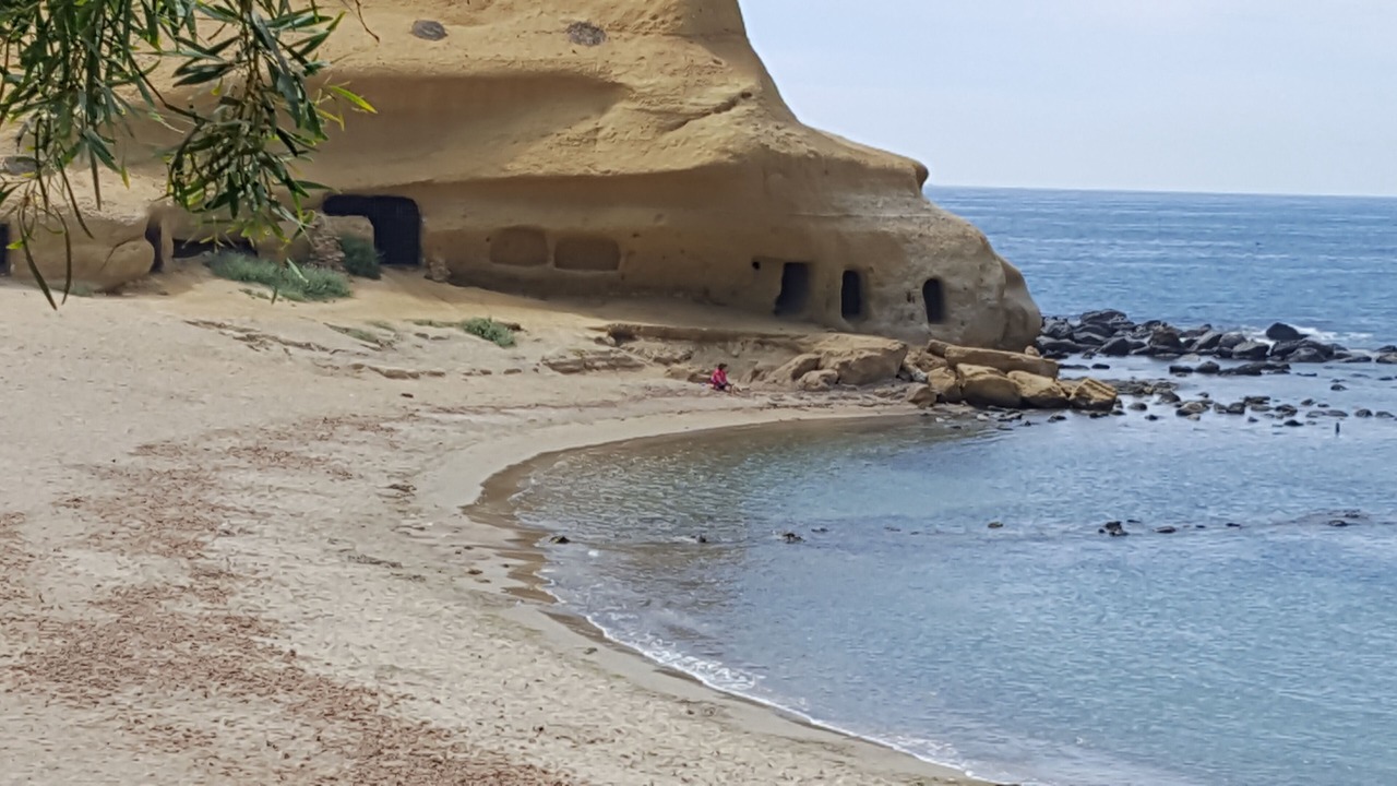 Photo of Others in San Juan de los Terreros