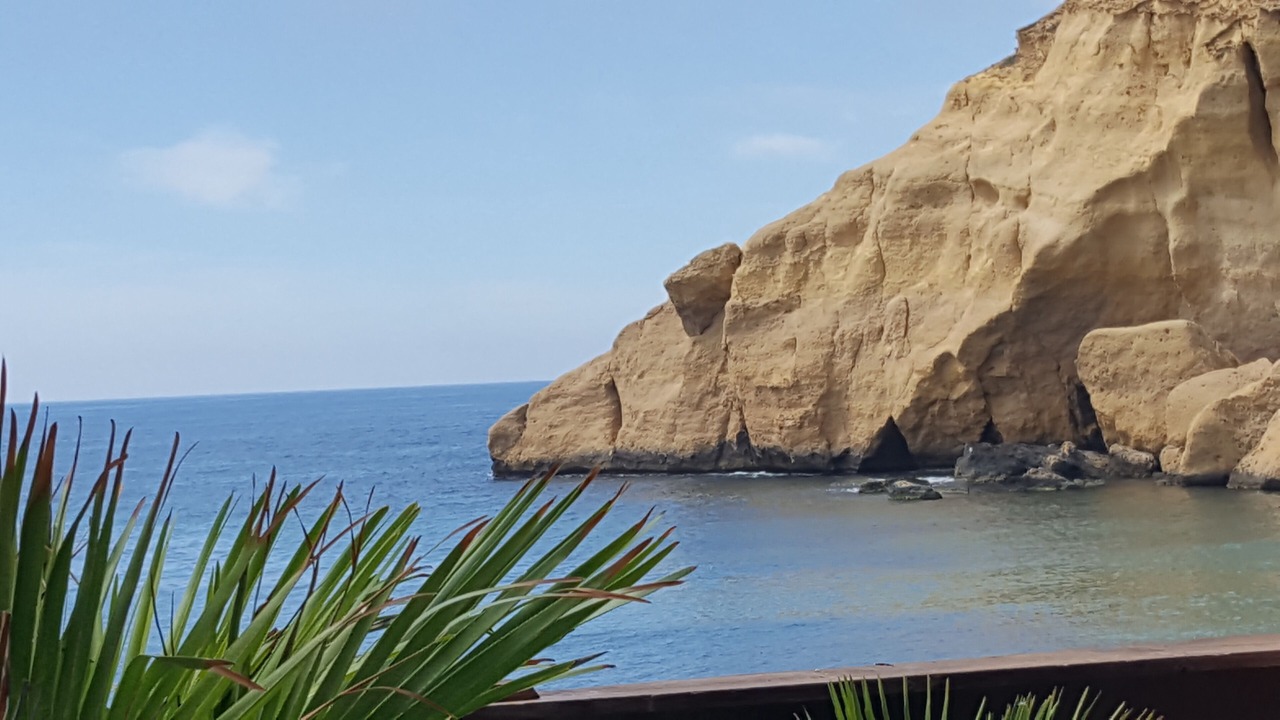 Photo of Others in San Juan de los Terreros