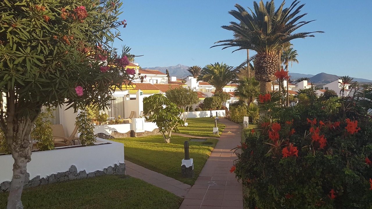 Photo of Others in San Miguel de Abona