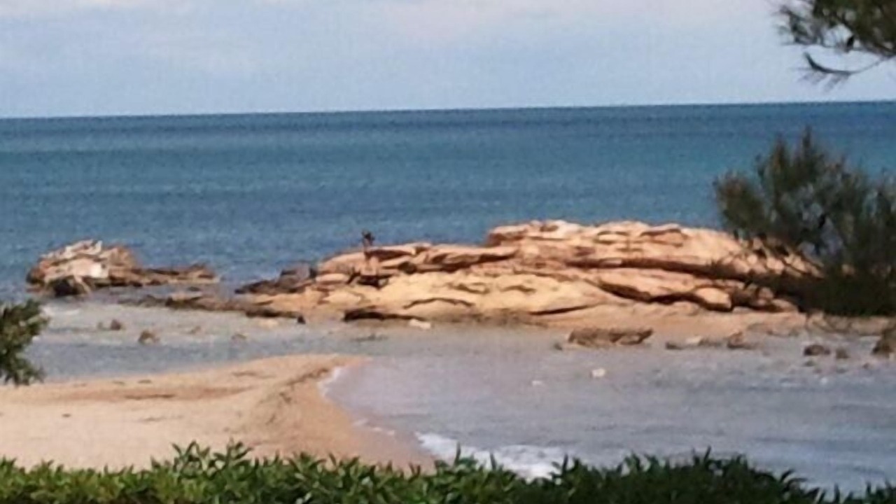 Photo of Others in Costa Dorada
