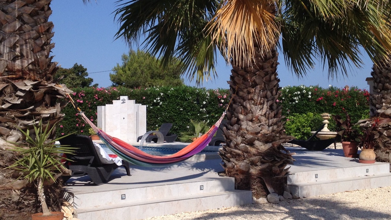 Photo of Outdoor in Catral