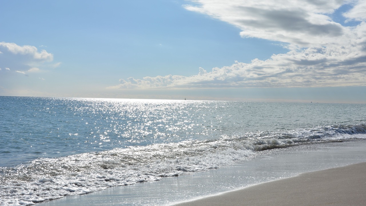 Photo of Others in Torremolinos