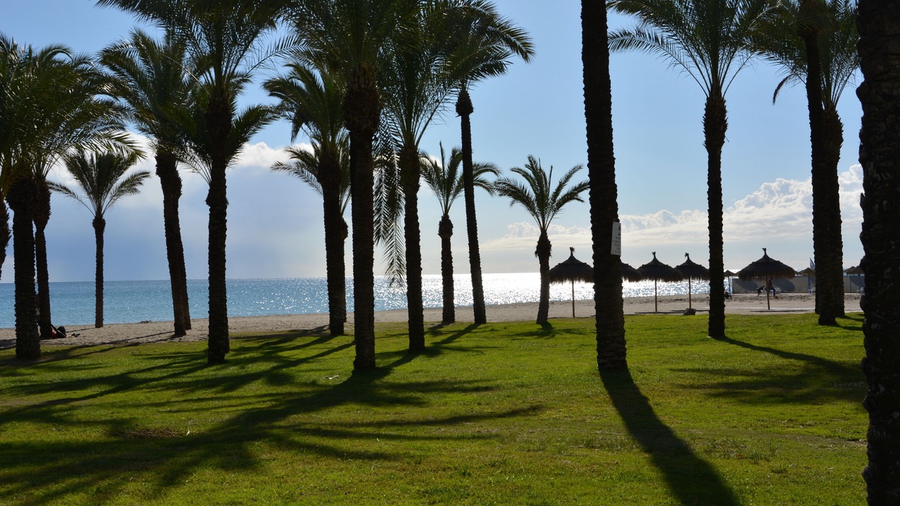 Photo of Others in Torremolinos