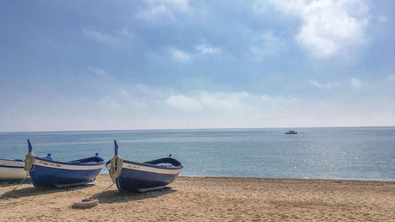 Photo of Others in Pineda de Mar