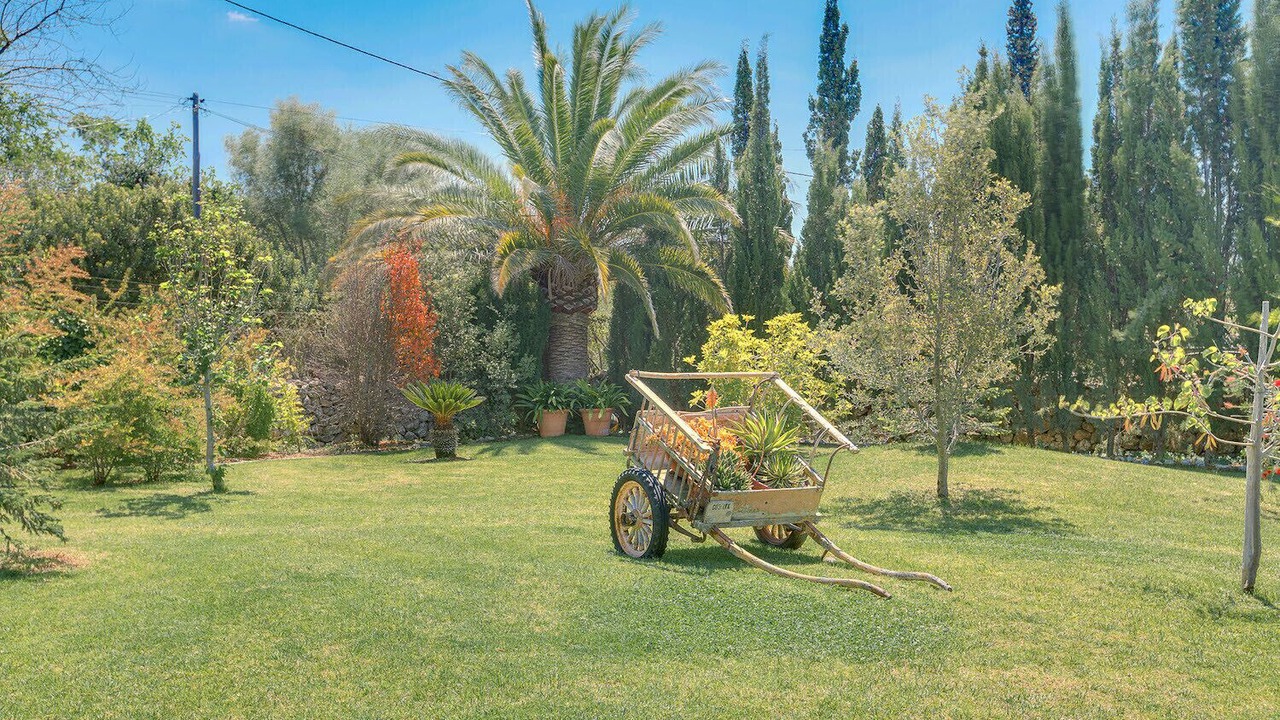 Photo of Outdoor in Esporles