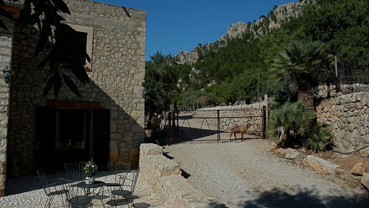 Photo of Others in Estellencs
