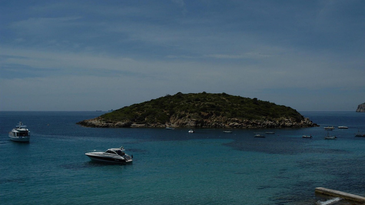 Photo of Others in Sant Elm