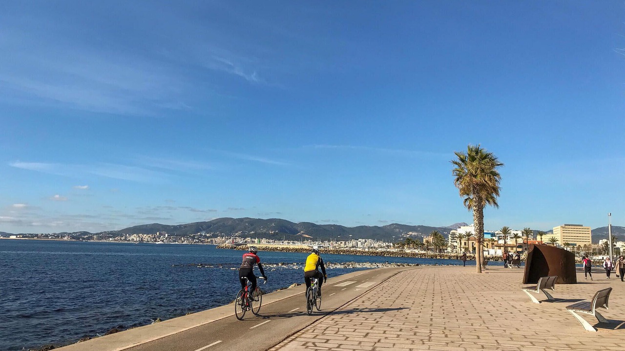 Photo of Others in Puerto Maritimo
