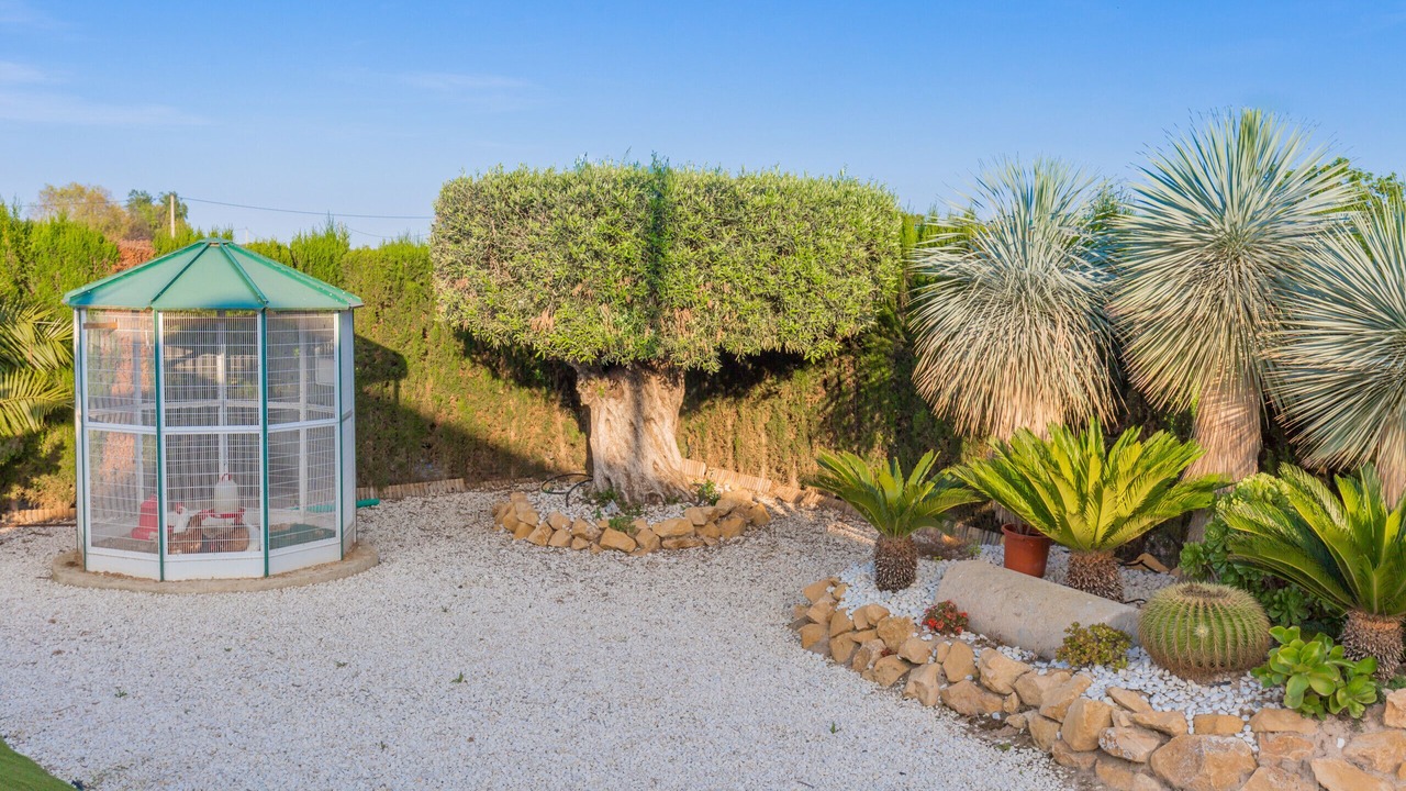 Photo of Outdoor in Dolores