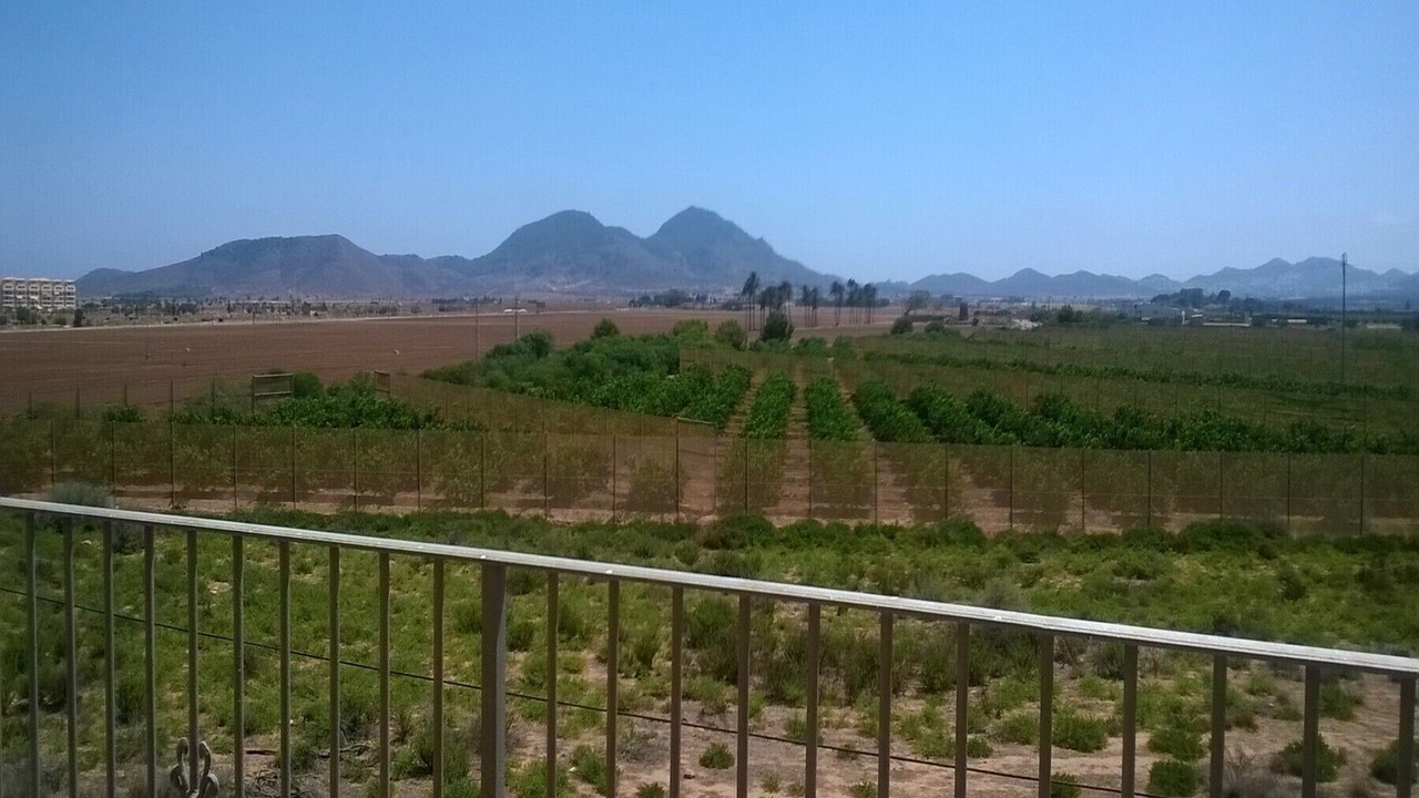 Photo of Others in Los Nietos