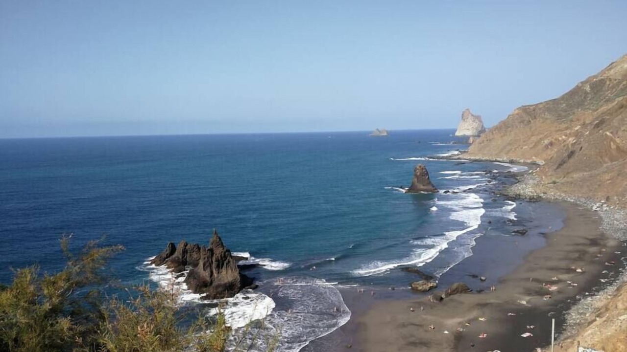 Photo of Others in Santa Cruz de Tenerife