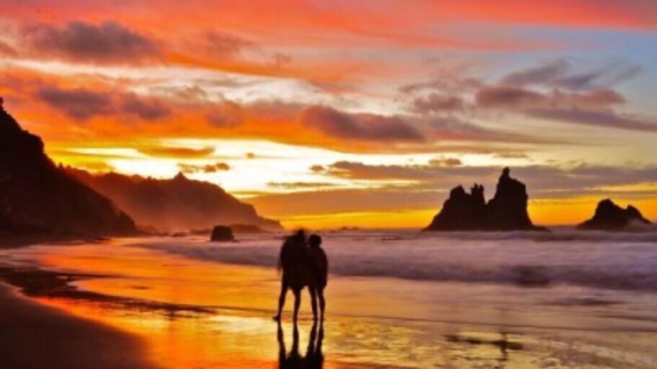 Photo of Others in Santa Cruz de Tenerife