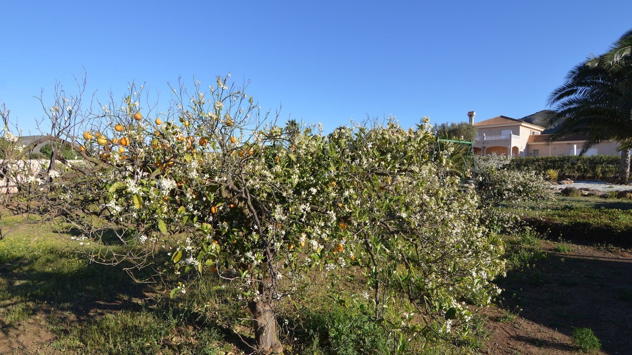 Photo of Outdoor in El Algar