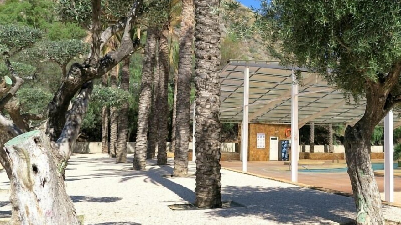 Photo of Outdoor in Playa Macenas