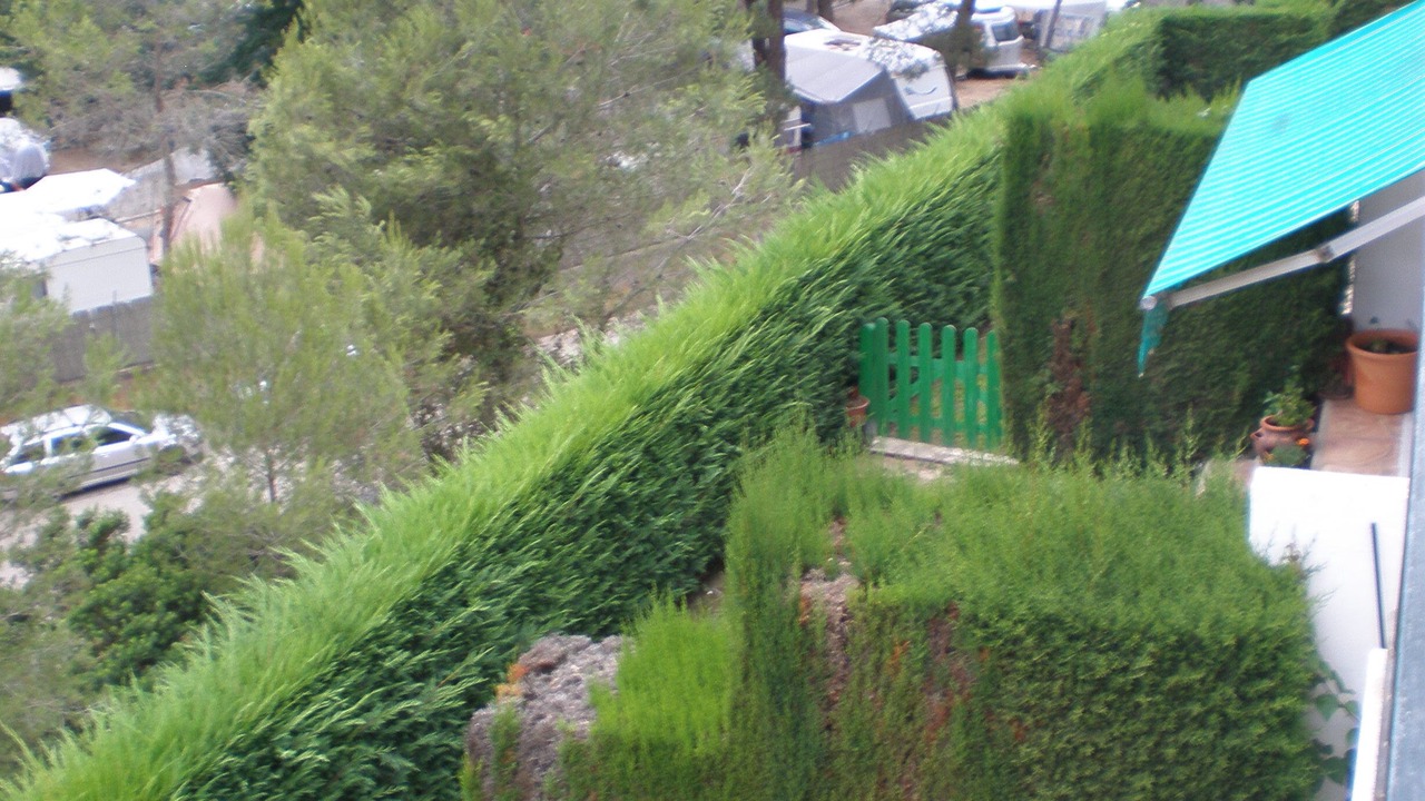 Photo of Outdoor in Tamariu