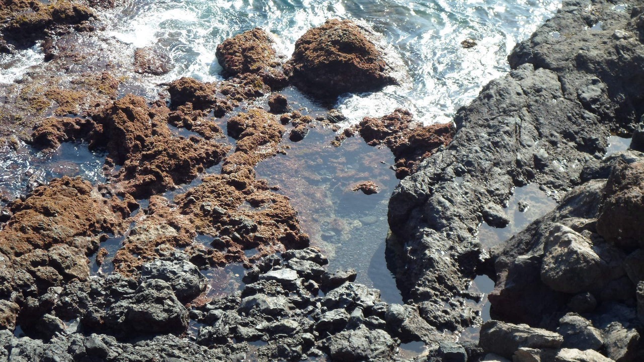 Photo of Outdoor in Bocacangrejo