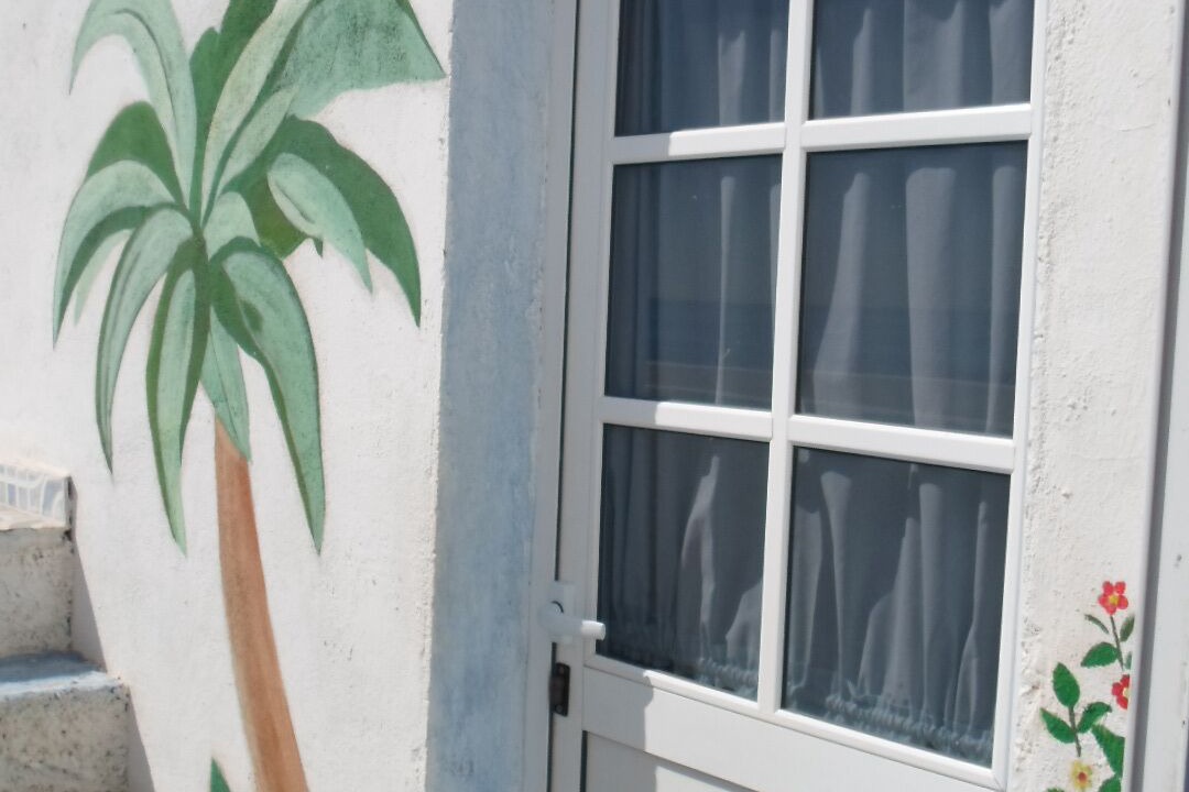 Photo of Outdoor in Bocacangrejo