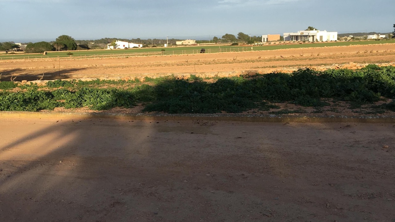 Photo of Others in Pilar de la Mola