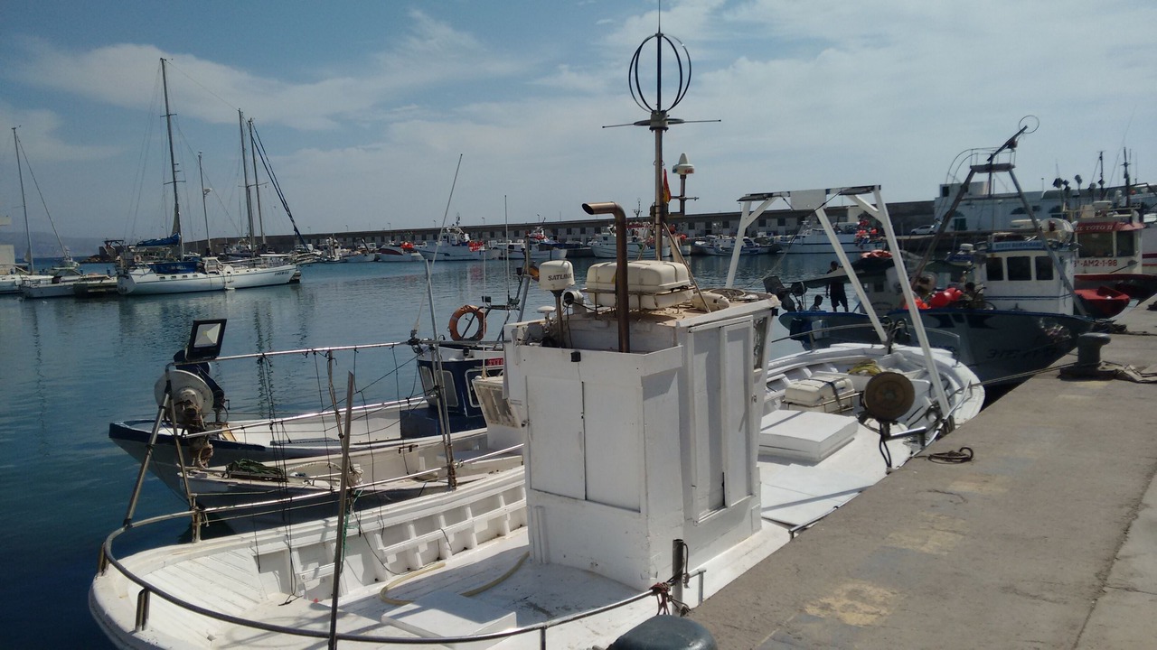 Photo of Others in Roquetas de Mar