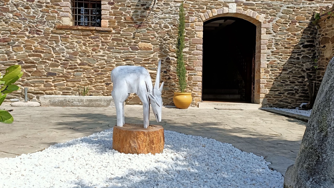 Photo of Outdoor in Cruilles Monells I Sant Sadurn