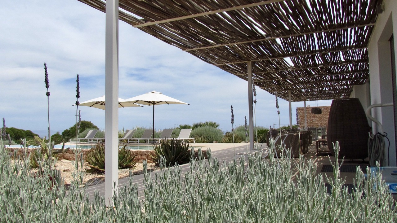 Photo of Outdoor in Formentera