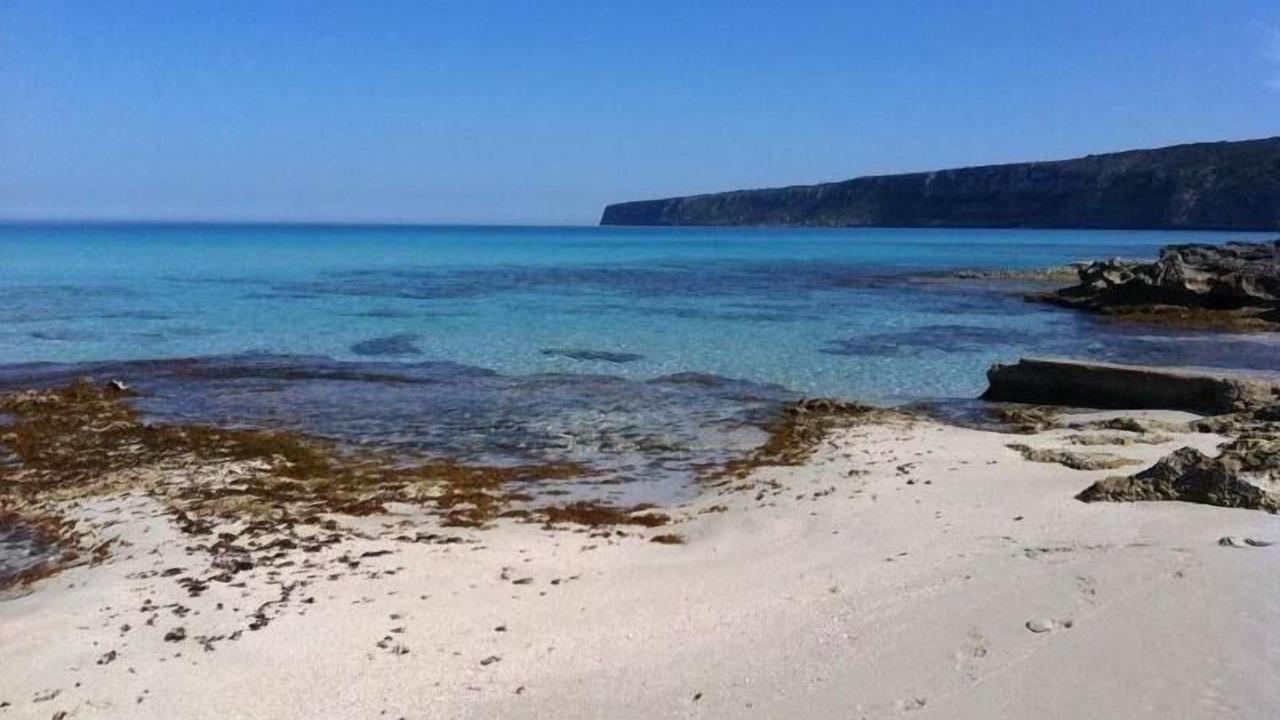 Photo of Others in Formentera