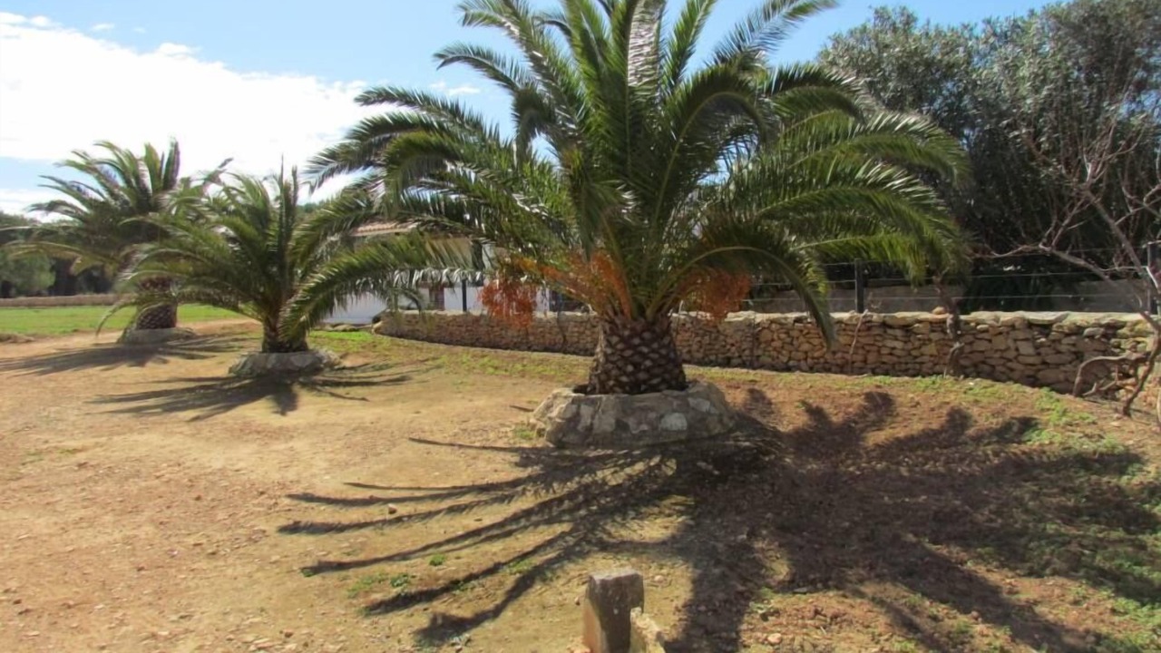 Photo of Outdoor in Formentera