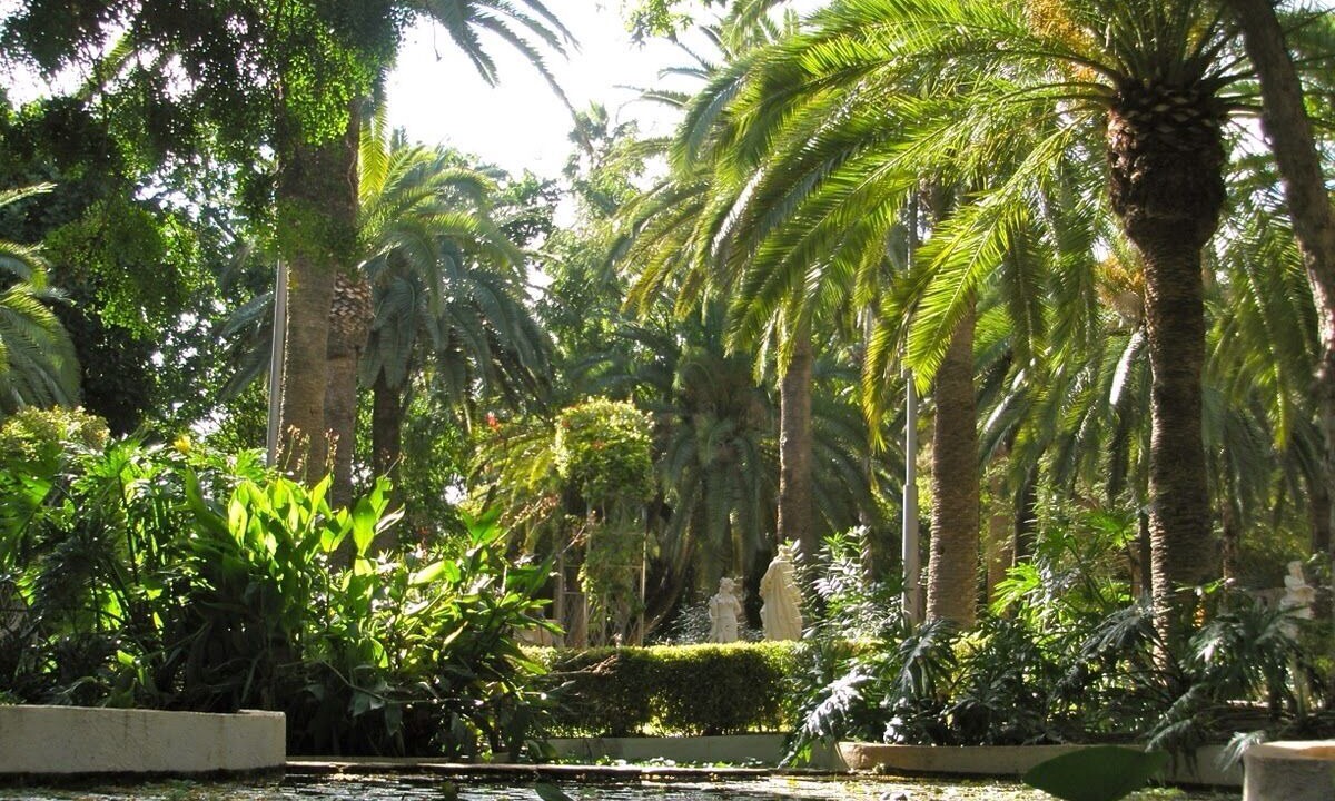 Photo of Outdoor in Santa Cruz de Tenerife