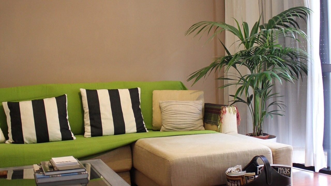 Photo of Livingroom in Santa Cruz de Tenerife