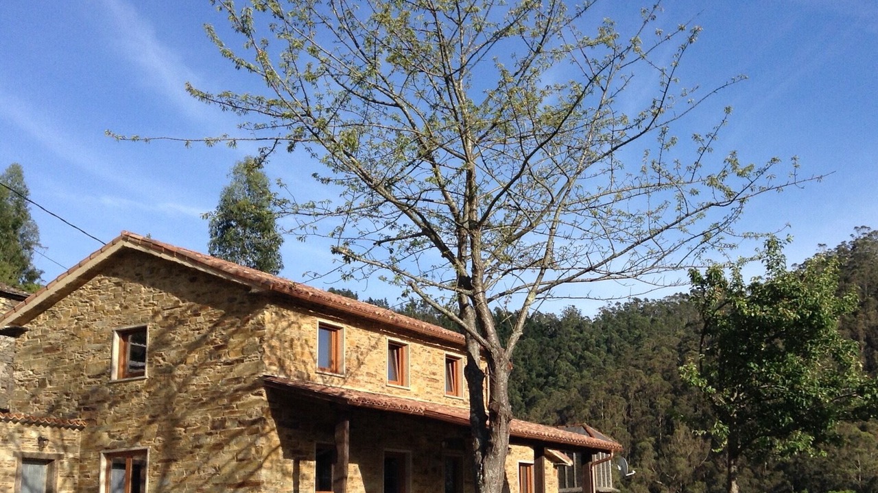 Photo of Outdoor in Cedeira