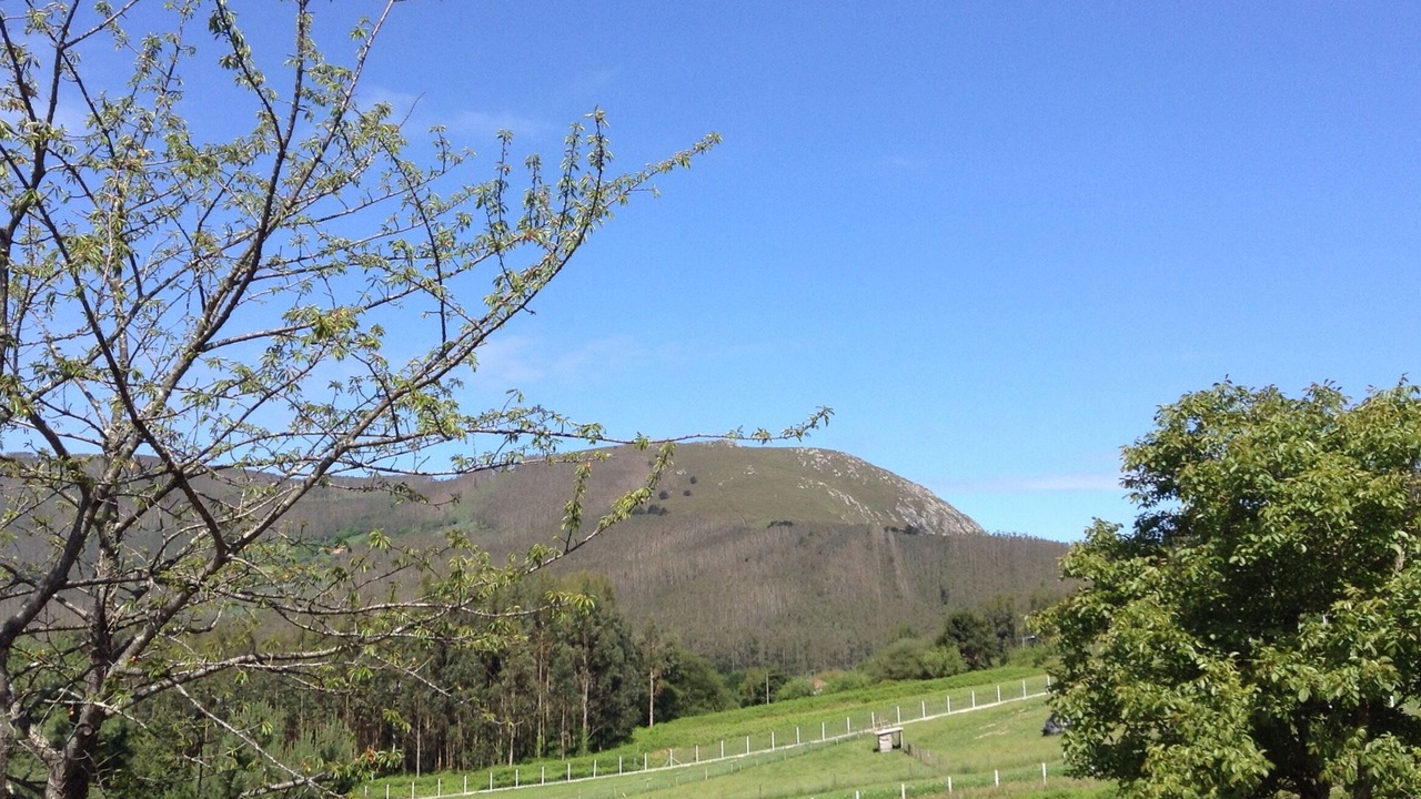 Photo of Outdoor in Cedeira